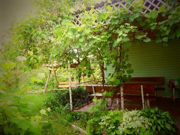 Банька «У Кума» відгуки, лазня/сауна Чернигов Деснянский район ул. Кольцевая, 37, фото, адреса з картою проїзду.