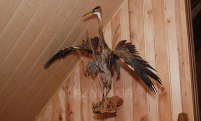 Дика Орхідея відгуки, лазня/сауна Полтава Київський район Полтава, Орієнтир - вул. Харчовиків, фото, адреса з картою проїзду.