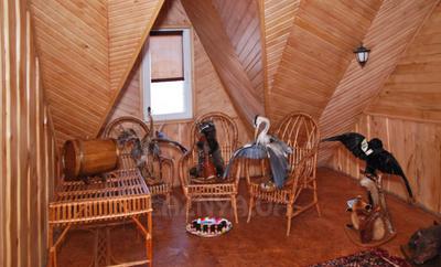 Дика Орхідея відгуки, лазня/сауна Полтава Київський район Полтава, Орієнтир - вул. Харчовиків, фото, адреса з картою проїзду.