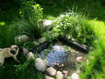 Баня «Феринг» відгуки, лазня/сауна Харьков Слободской район г. Харьков, р-н Одесской, фото, адреса з картою проїзду.