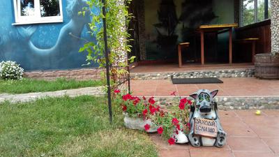 Баня «Морячок» відгуки, лазня/сауна Чернигов Деснянский район с. Брусилов, ул. Набережная, 2а (пригород Чернигова), фото, адреса з картою проїзду.