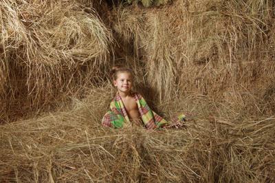 Банный комплекс «Журавлевские бани» відгуки, лазня/сауна Харьков Киевский район 2-й Лазьковский, въезд 5, фото, адреса з картою проїзду.
