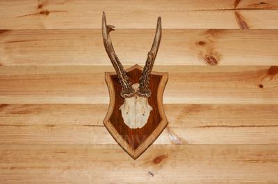 Охотник... відгуки, лазня/сауна Полтава Шевченковский район ул. Героев АТО, 41, фото, адреса з картою проїзду.