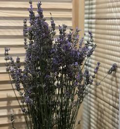 Сауна, лазня Семейный уют, Якушинцы відгуки, фото, адреса - laznya.ua Семейный уют відгуки, лазня/сауна Якушинцы  район Винница; с. Якушинцы, Ул.Богдана Хмельницкого 2А, фото, адреса з картою проїзду.