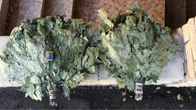 Баня на дровах Доминант відгуки, лазня/сауна Херсон Корабельный район ул. Фритаун, 84, фото, адреса з картою проїзду.