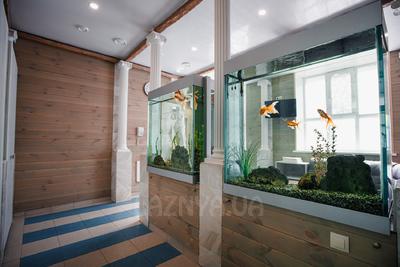 Водно-оздоровительный комплекс «Термы» відгуки, лазня/сауна Днепр Соборный район ул. Феодосиевская, 1, фото, адреса з картою проїзду.